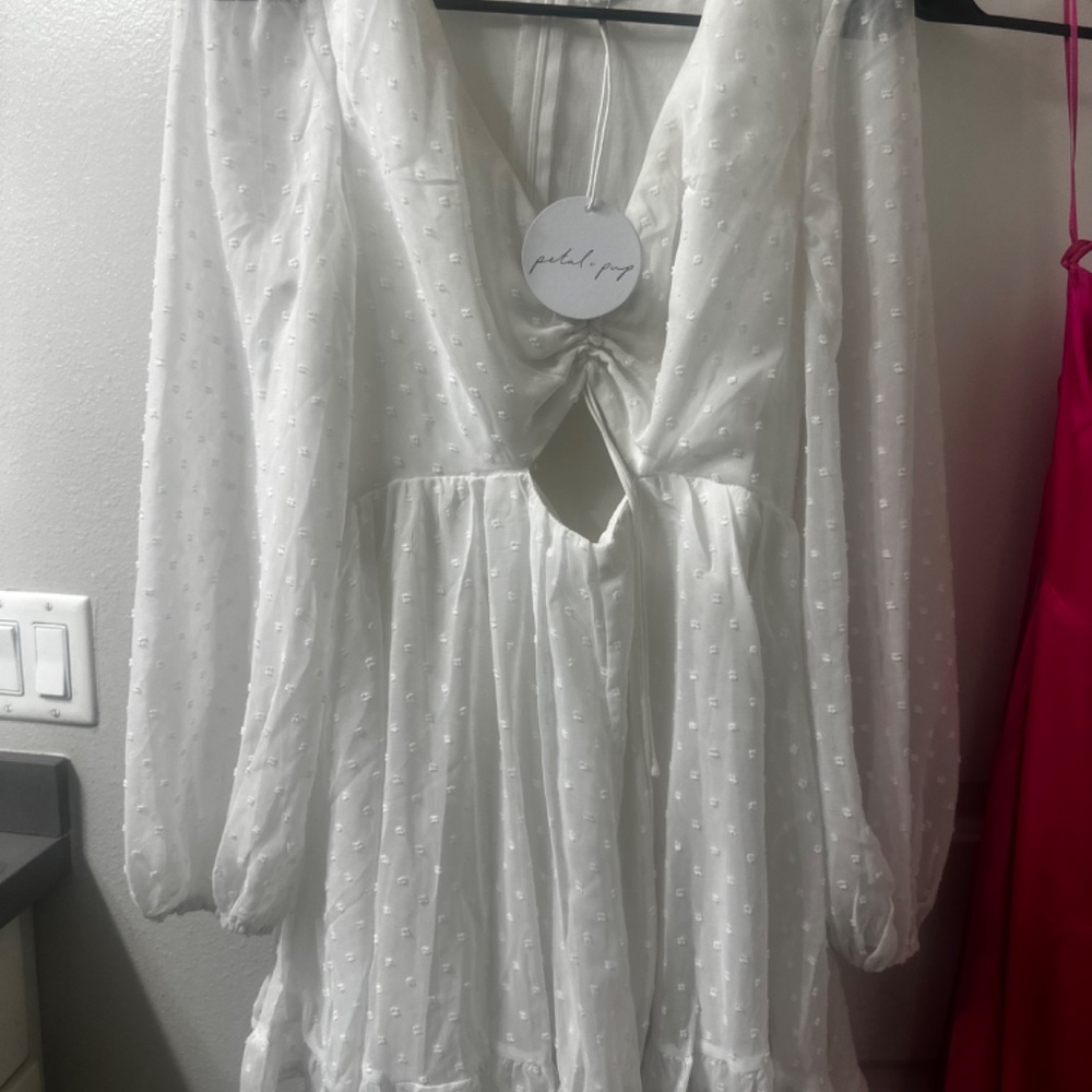 Petal & Pup Ivory Textured Dress - Picture 9 of 10
